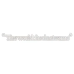 Andy Warhol The World Fascinates Me Quote Neon Sign