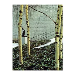 Anthony Caro - Hardcover