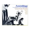 Assemblage A New Dimension in creative Teaching in Action - Hardcover