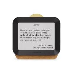Author Forecast Digital Weathervane - Large