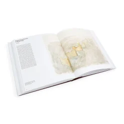 Bruce Nauman: Disappearing Acts - Hardcover