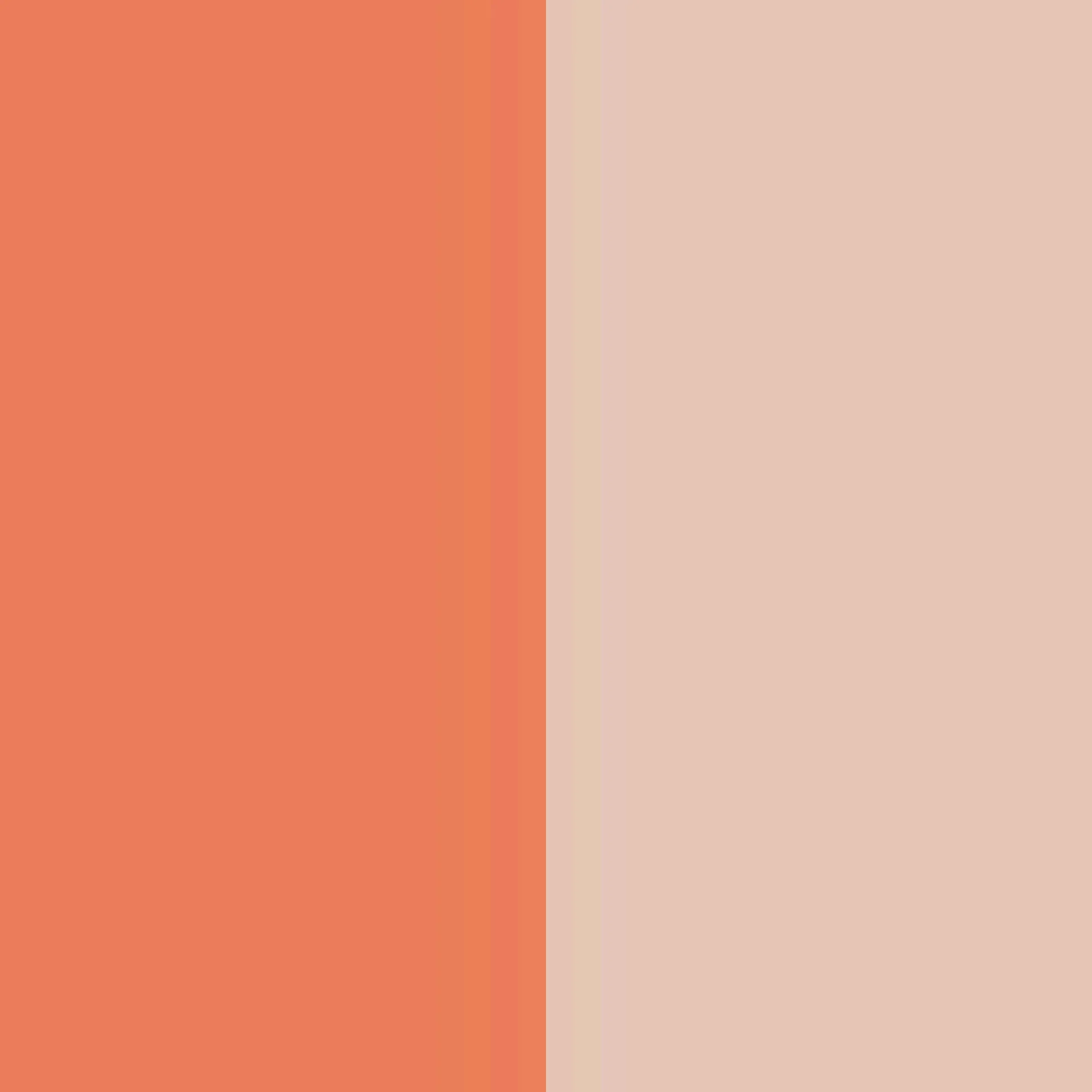 Chilewich Citrus Placemat