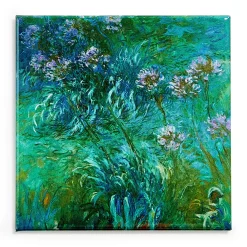 Claude Monet: Agapanthus Magnet