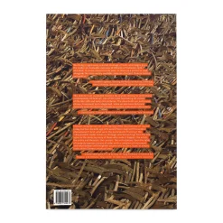 Contemporary Chinese Art: Primary Documents