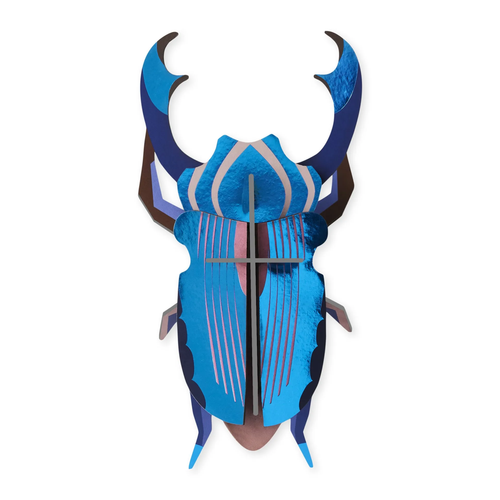 DIY Giant Beetle Kit - Azure Stag Beetle