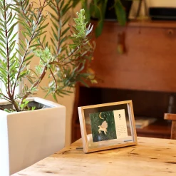 Floating Wood Picture Frame - 6 x 8 (A5)
