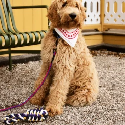 HAY Rope Toy for Dogs in Recycled Polyester