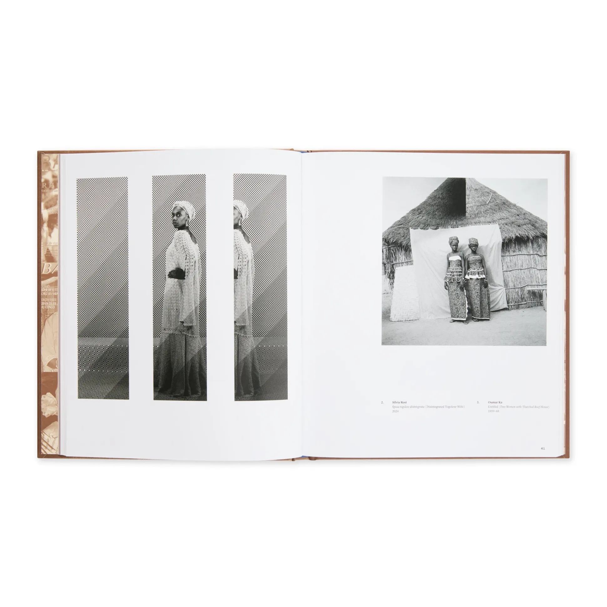Ideas of Africa: Portraiture and Political Imagination - Hardcover