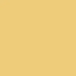 IZIPIZI Round Sunglasses #D