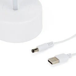 LED Desk Light