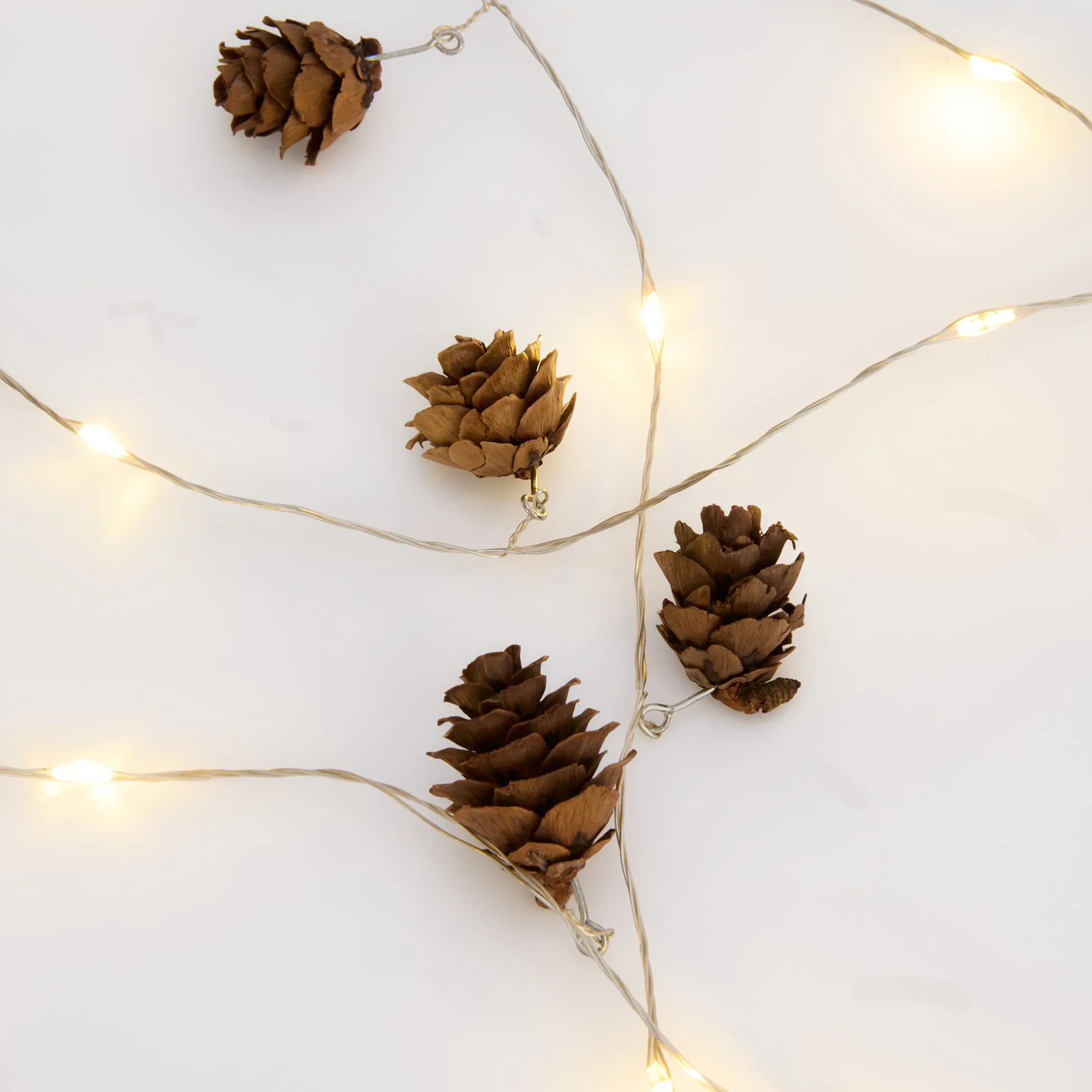 LED Holiday String Lights Set