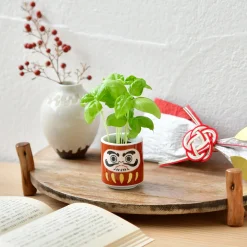 Lucky Mini Planter Kit - Daruma / Basil
