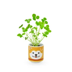 Lucky Mini Planter Kit - Dog / Clover