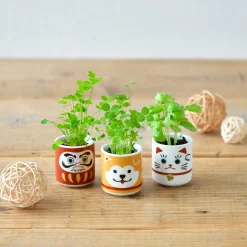 Lucky Mini Planter Kit - Dog / Clover