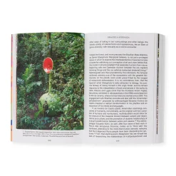Momentum: Art and Ecology in Contemporary Latin America – Paperback