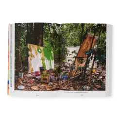 Momentum: Art and Ecology in Contemporary Latin America – Paperback