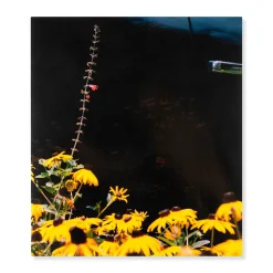 Mystery Street, Photographs by Vasantha Yogananthan - Hardcover