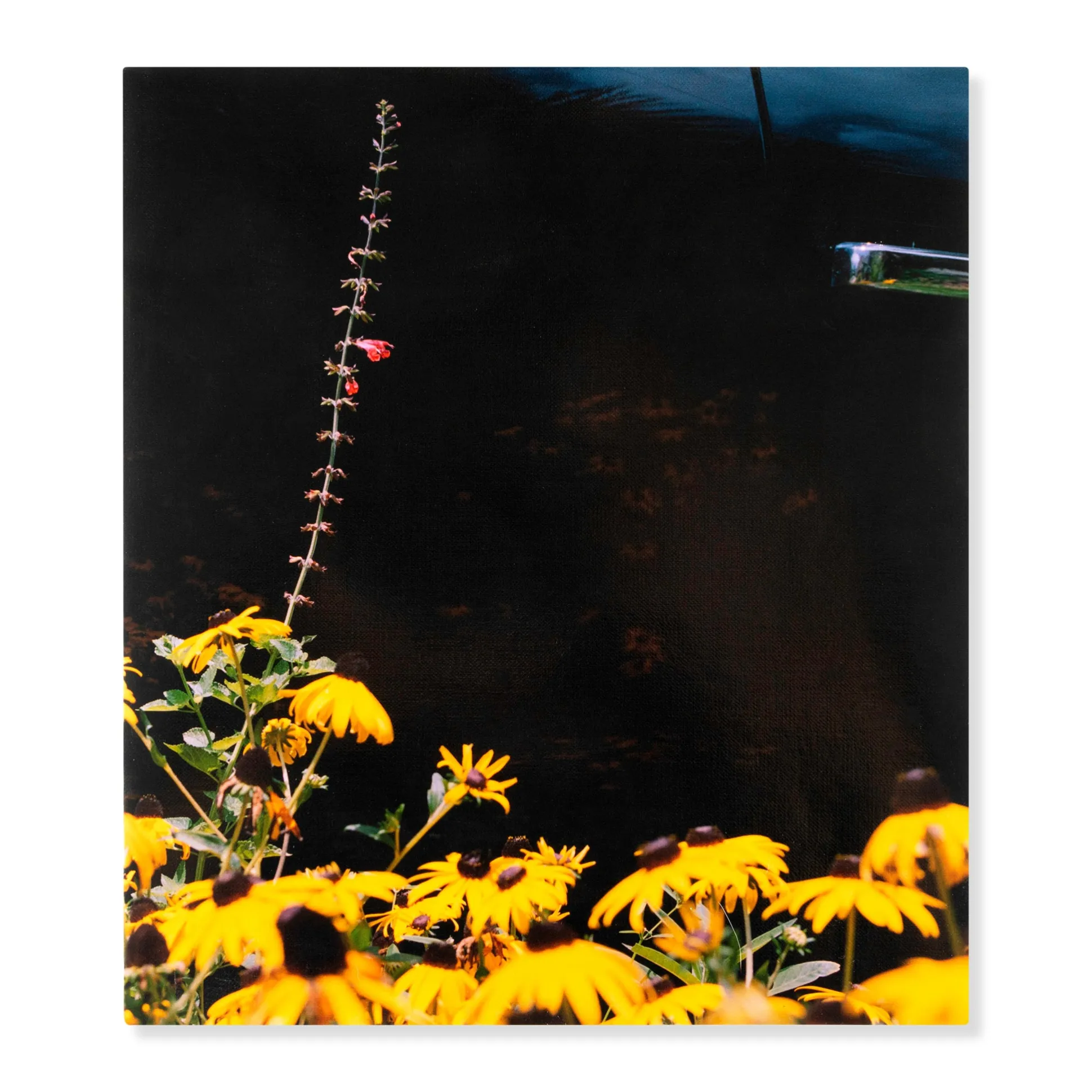Mystery Street, Photographs by Vasantha Yogananthan - Hardcover