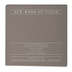New Work on Paper 2: Borofsky, Clemente, Merz, Penck, Penone - Paperback