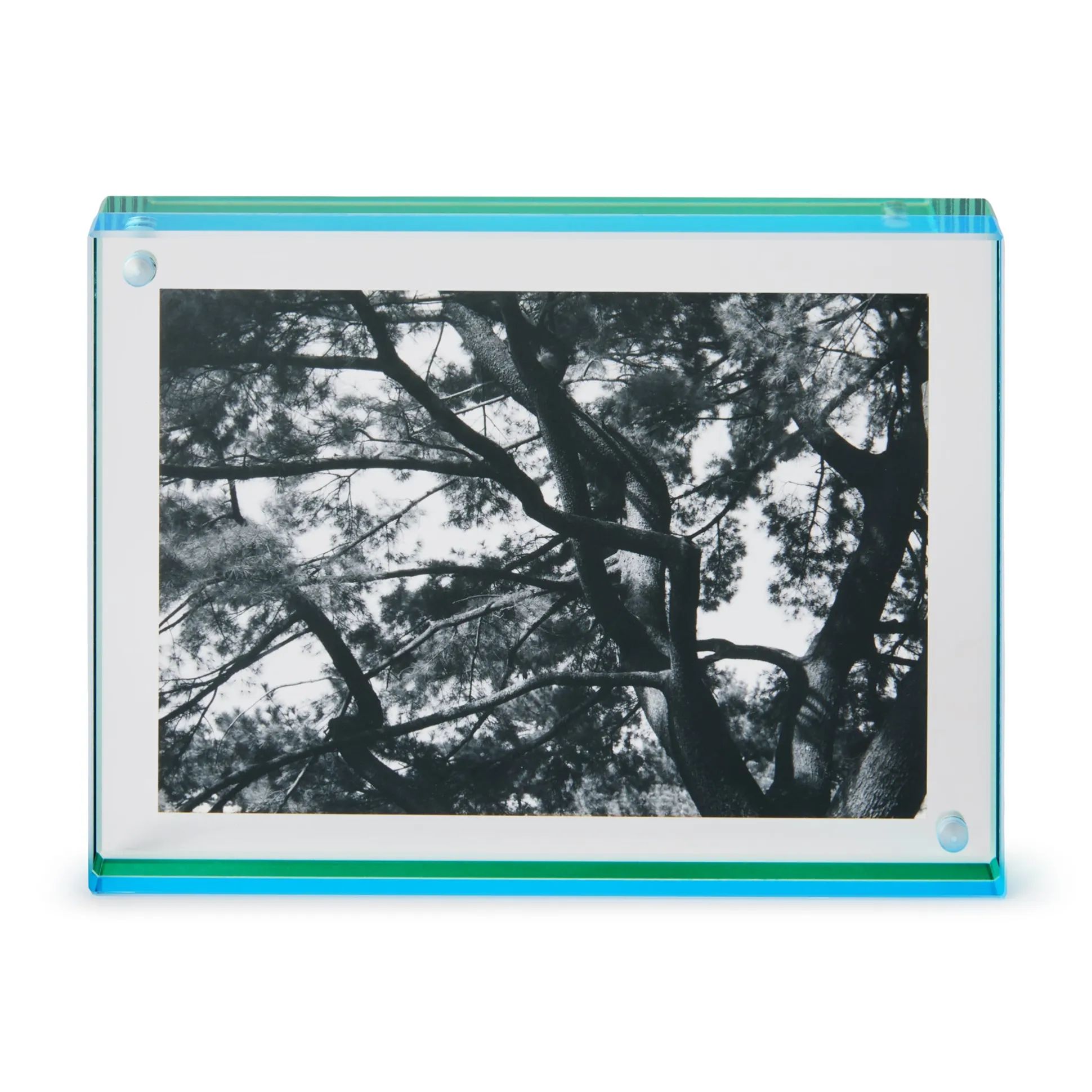 Nicolai Canetti Dual-Color Magnetic Picture Frame