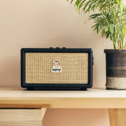 Orange Box Bluetooth Portable Speaker