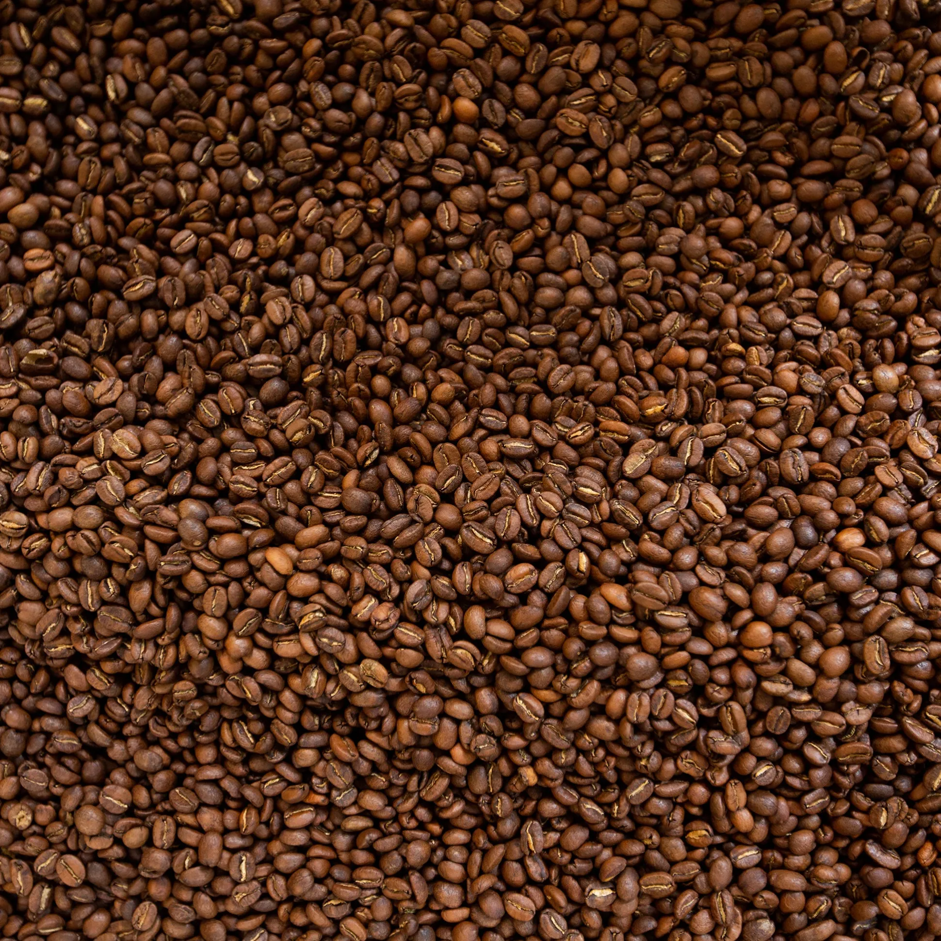 Partners Whole Bean Coffee - Manhattan