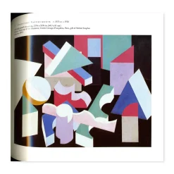 Patrick Henry Bruce: American Modernist - Hardcover