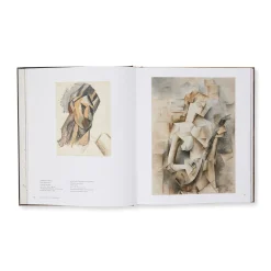 Picasso in Fontainebleau - Hardcover