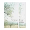 Present Tense: Photographs by JoAnn Verburg - Hardcover