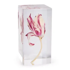 Rare Tulip Objet d’Art