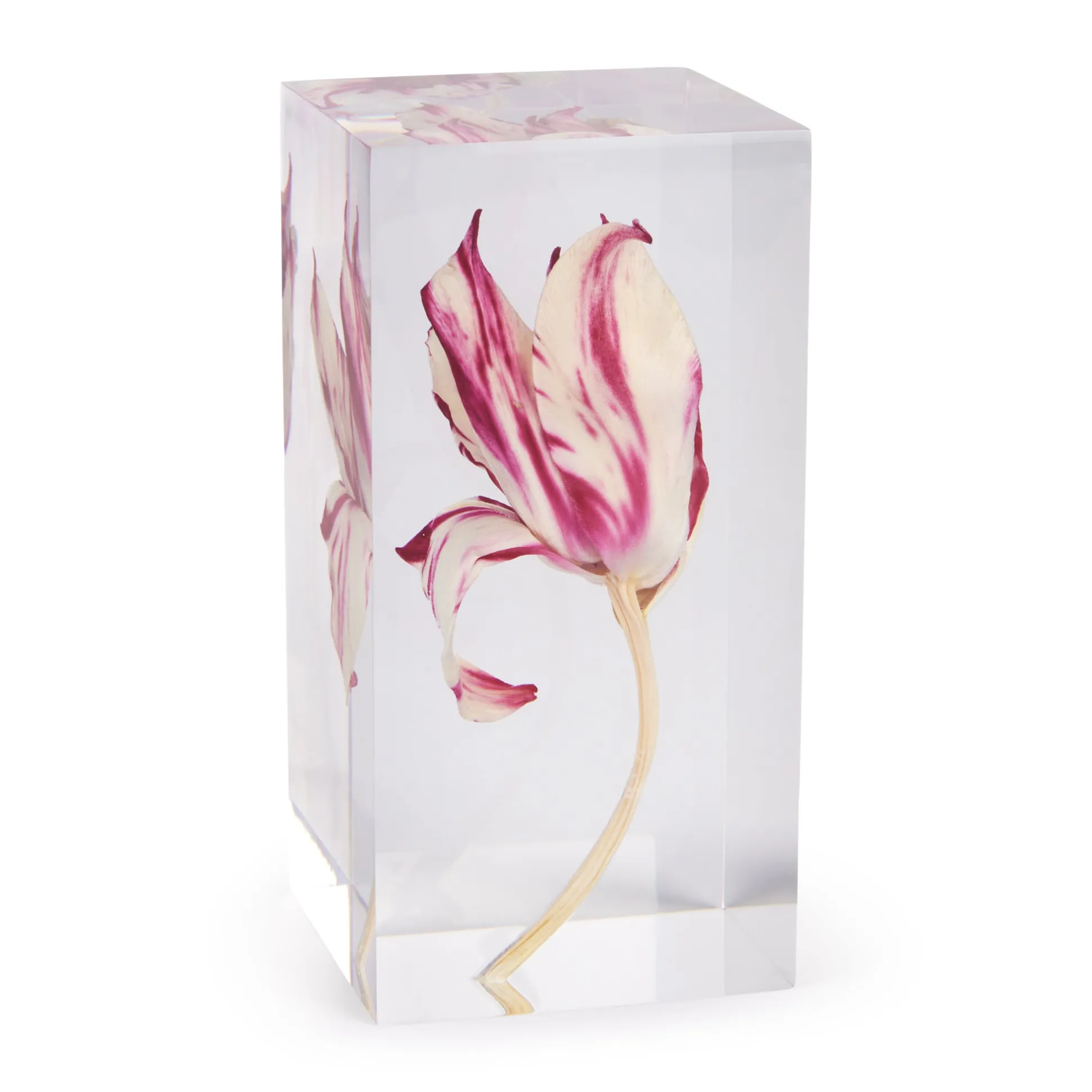 Rare Tulip Objet d’Art
