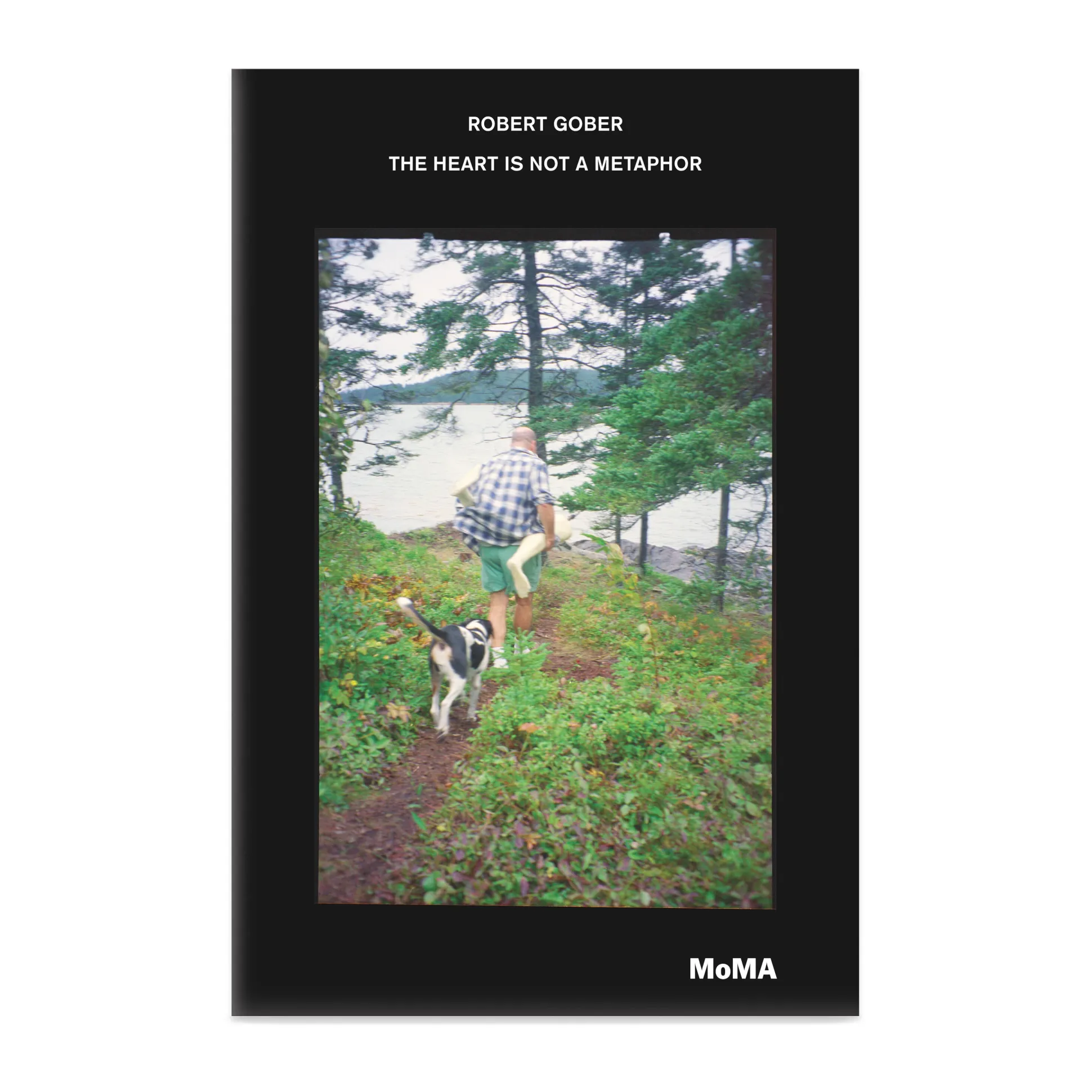 Robert Gober: The Heart Is Not a Metaphor - Hardcover