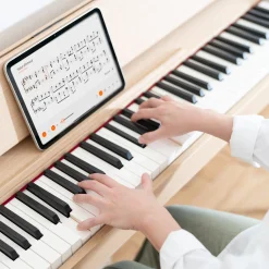 Roland Kiyola Piano KF-20