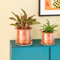 Self-Watering Wet Pots - Medium