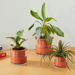 Self-Watering Wet Pots - Medium