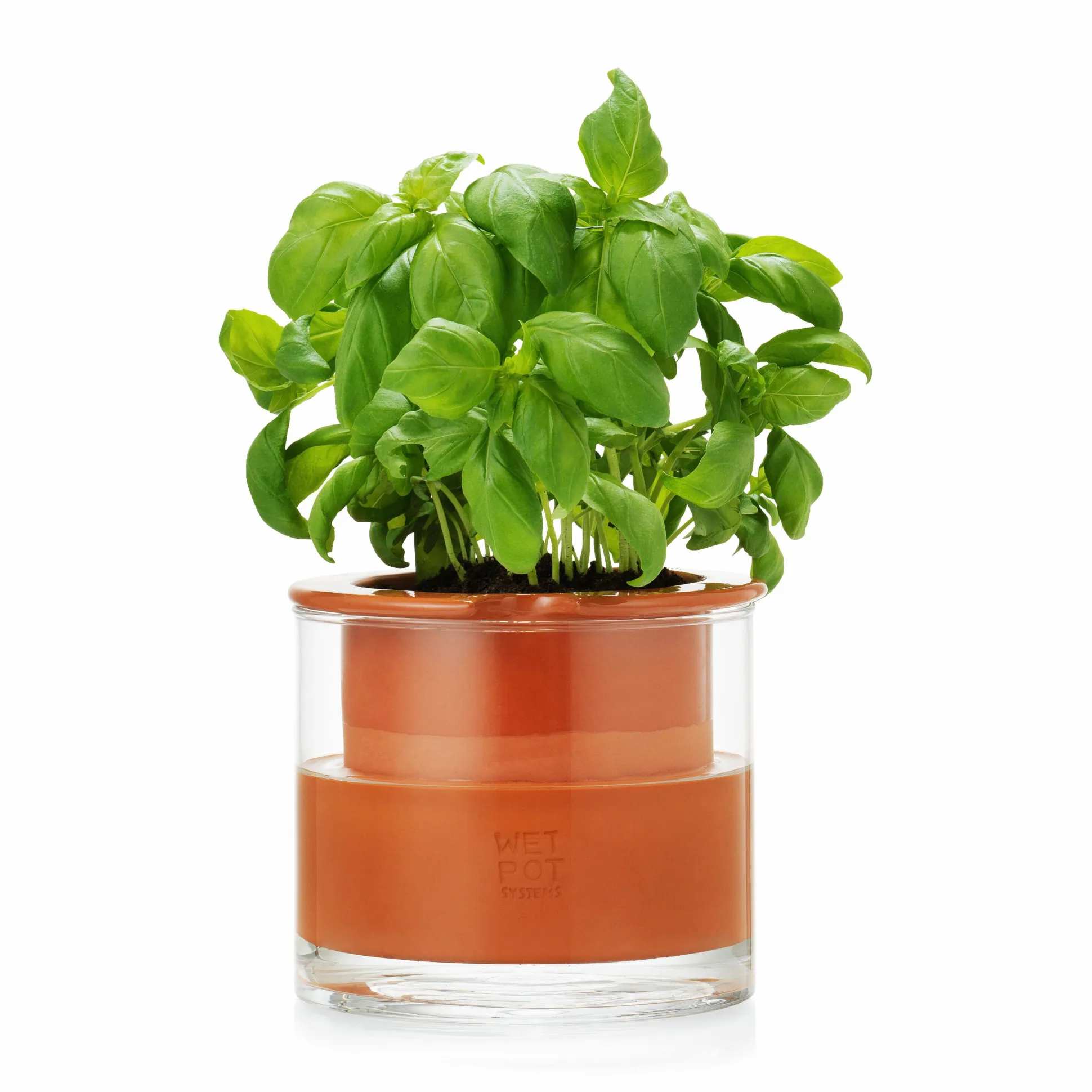 Self-Watering Wet Pots - Small