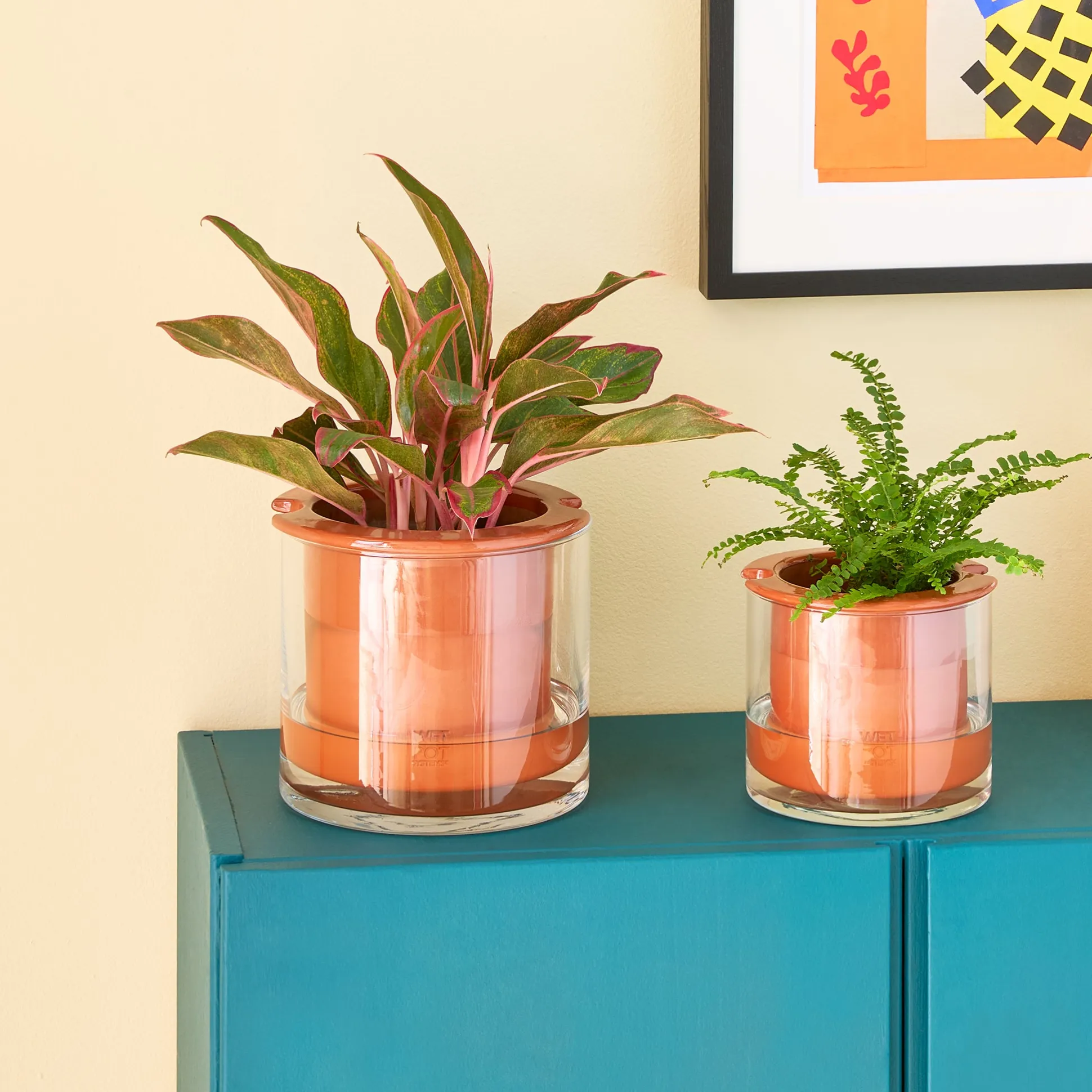 Self-Watering Wet Pots - Small