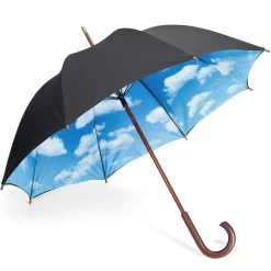 Sky Umbrella