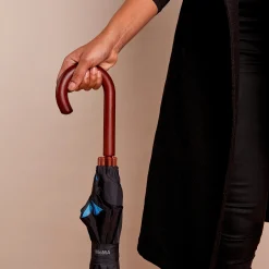 Sky Umbrella