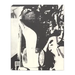 The Judith Rothschild Foundation Contemporary Drawings Collection: Catalogue Raisonné - Hardcover