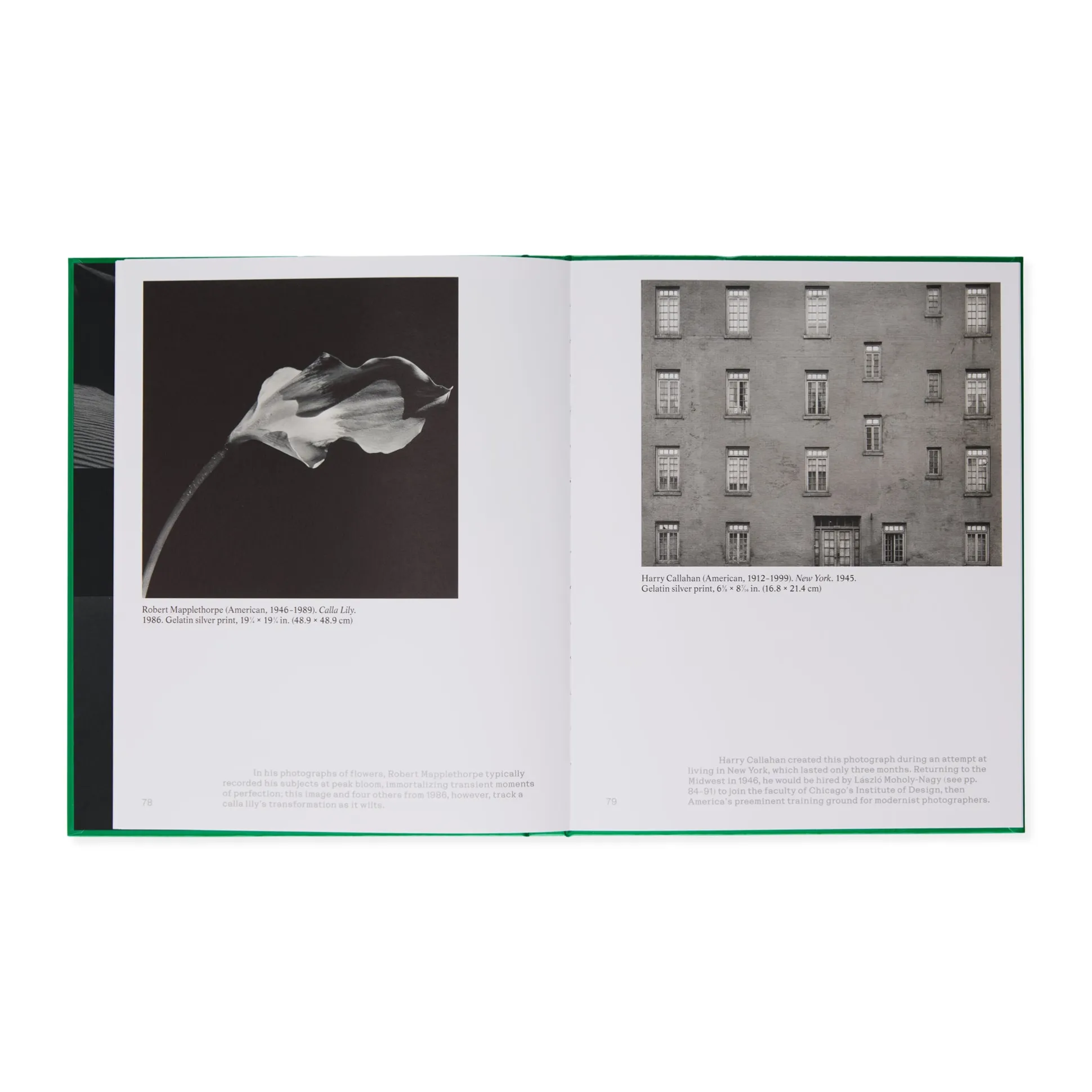Time Travelers: Photographs from the Gayle Greenhill Collection - Hardcover