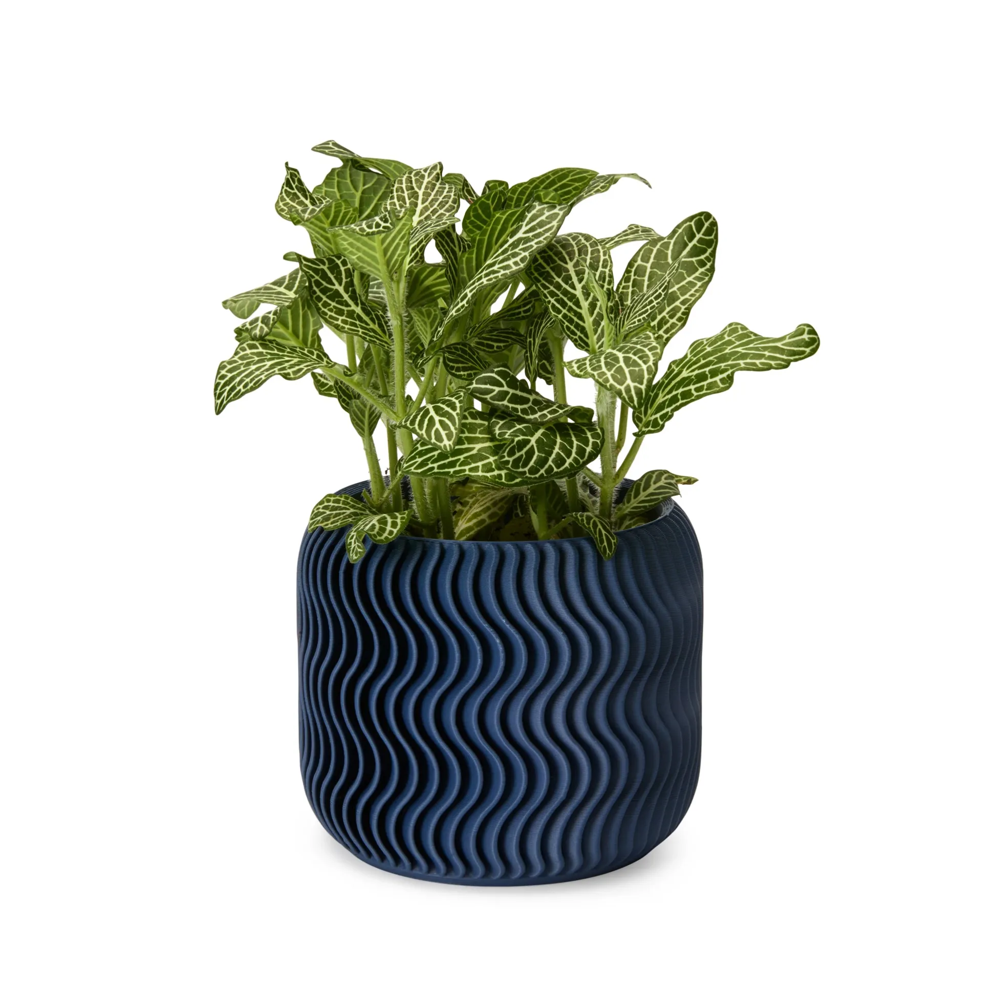 Wavy Pine 3D-Printed Planter